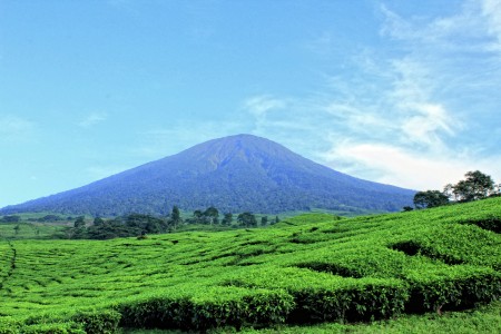 Gunung Dempo