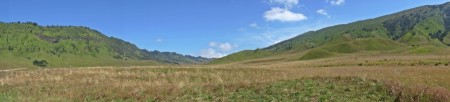 The Savana