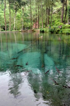 The Beauty of Rambut Monte Lake