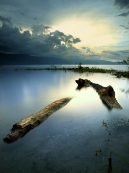 Toba The Peaceful