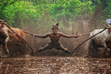 Man against Beast!