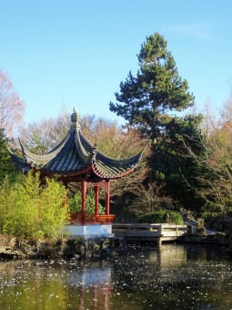 Relaxing chinese garden