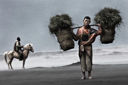 the grass-man