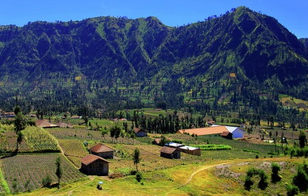 Desa Kecil