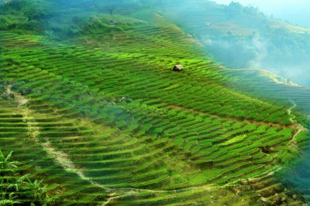 Bac Thang Ngoc linh