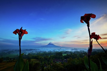 Merapi Volcano in Frame