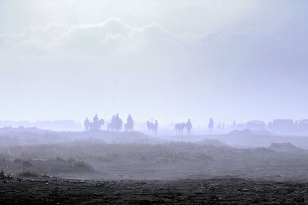 welcome to Bromo Seasand