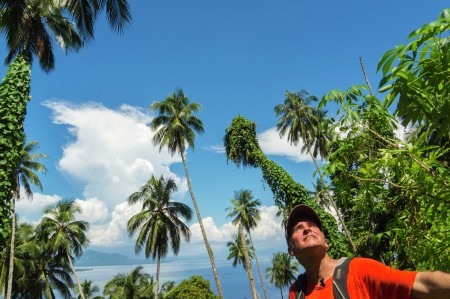 On the way to the Manado Tua summit