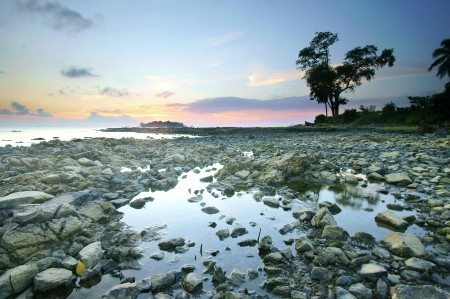 tanjung dewa