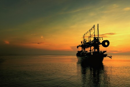 Tertambat Di Indahnya Pagi