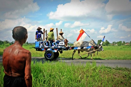 Tradtional Transportation