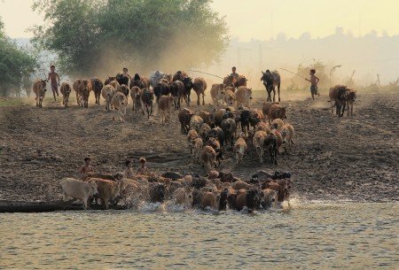 ready to cross river