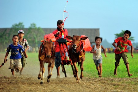 Playing with Bulls