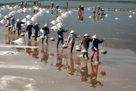 Harvest season salt