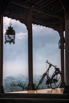old bike and turtledove