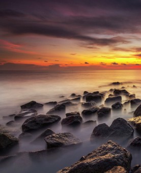 .: Wave :.