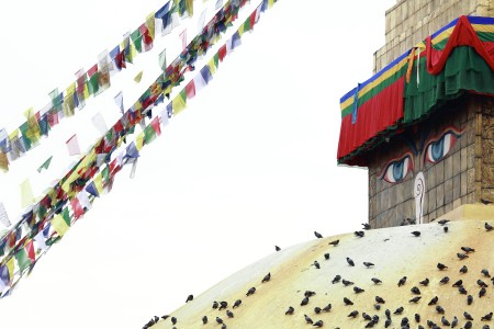 Birds under the eyes of Boudhanath Stupa