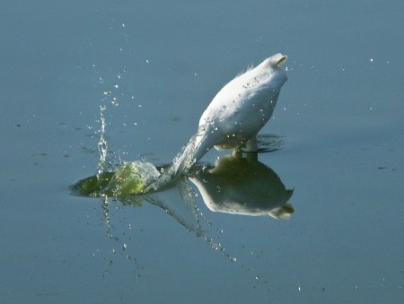 Perfect Timing