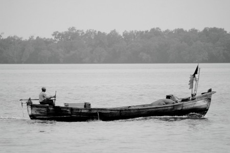 my life in the ocean