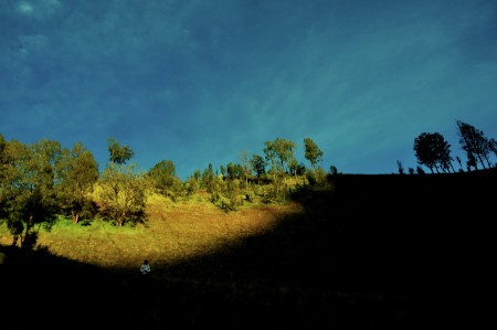 Pagi itu