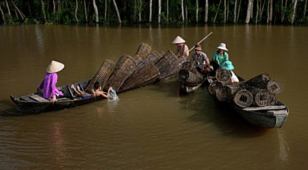 Sinh hoat vung song nuoc