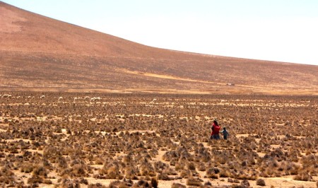 Crossing the Savanna