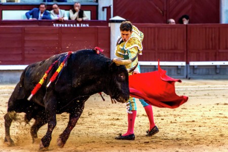 Torero