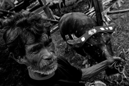 Sang Pengembala
