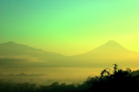 Morning Punthuk Kedhok