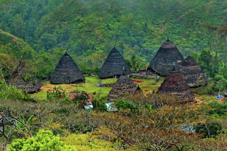 Wae Rebo Traditional Village