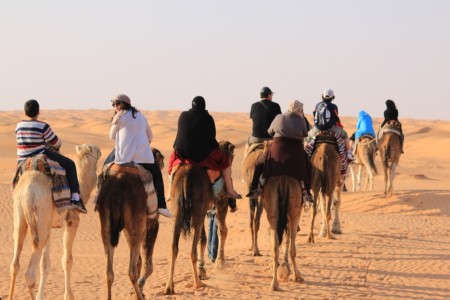 camel ride