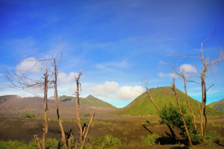 Bromo Mountain