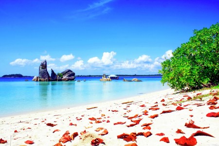 PULAU BURUNG