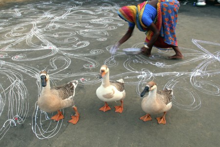 Badna Festival