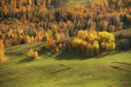 Autumn in Xinjiang