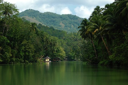 The Loboc River