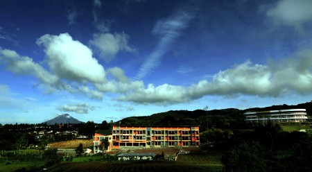 HOME THE HILL