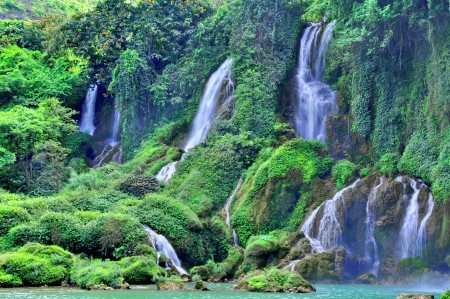 Nature 2
