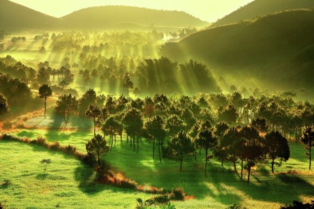 Light with Beauty