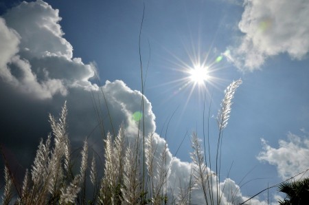 AUTUMN SKY