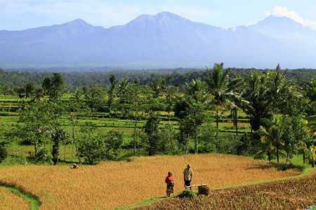pagi di lembah rinjani