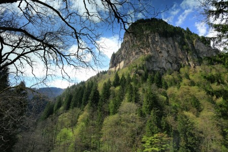 Sumela Monastery