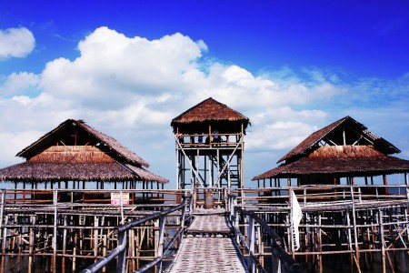 Pos Pantau Mangrove Forest