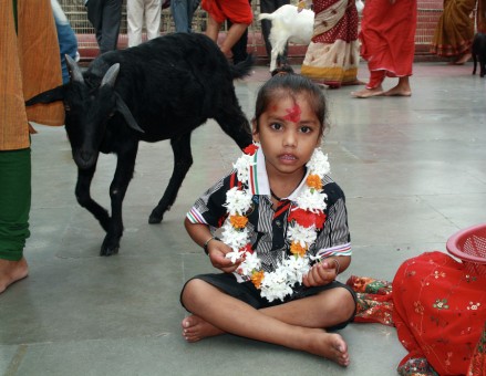 The Little Devotee