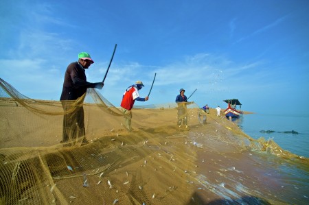 Fisherman