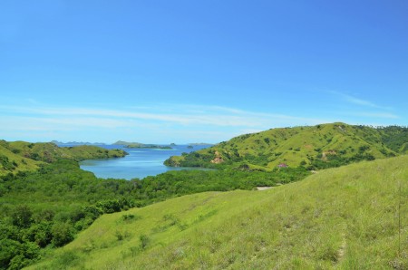 Indonesia Tanah Air Beta