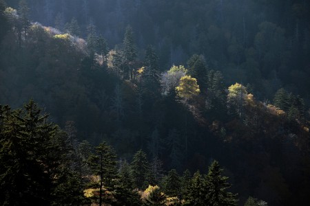 smoky mountain