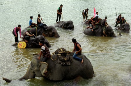 Thi bÆ¡i vÆ°á»£t sÃ´ng