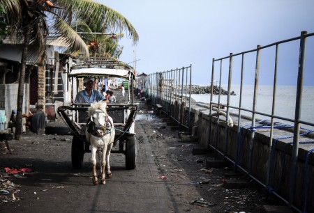 traditional tranport