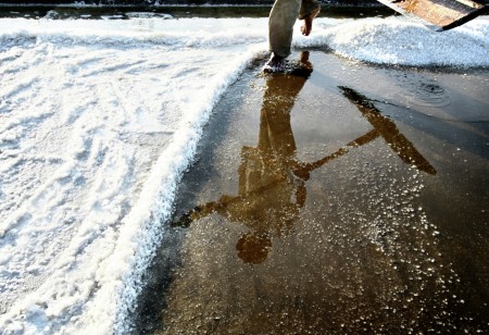 Banyangan petani garam